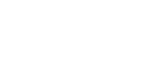 Sanforce Technology logo